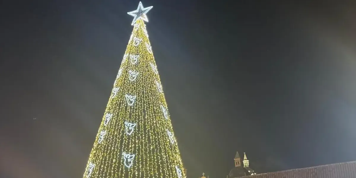 Cover image for Con una inversión de más de $20.000 millones Cartagena encendió su alumbrado Navideño