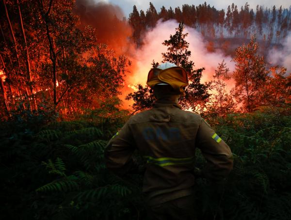 Reportan 61 muertos por incendio forestal en Portugal