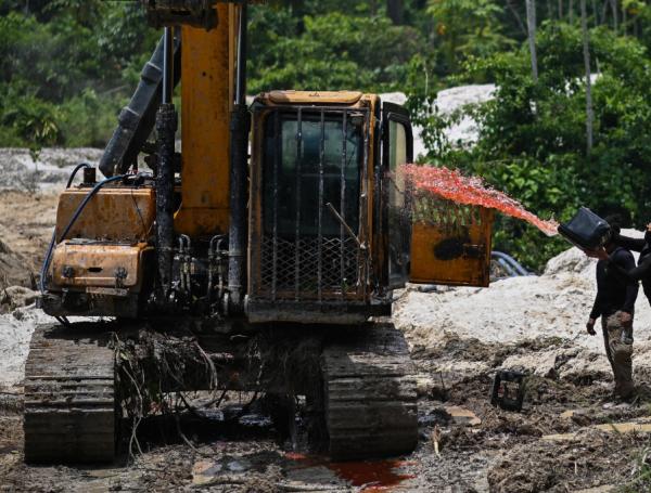 Impactos que la minería ilegal está teniendo en Colombia y otros países ...