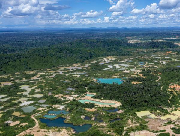 Impactos que la minería ilegal está teniendo en Colombia y otros países ...