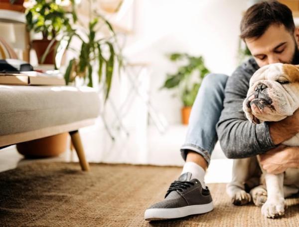 ¿Qué quiere decir que una persona exprese mayores sentimientos a un perro?