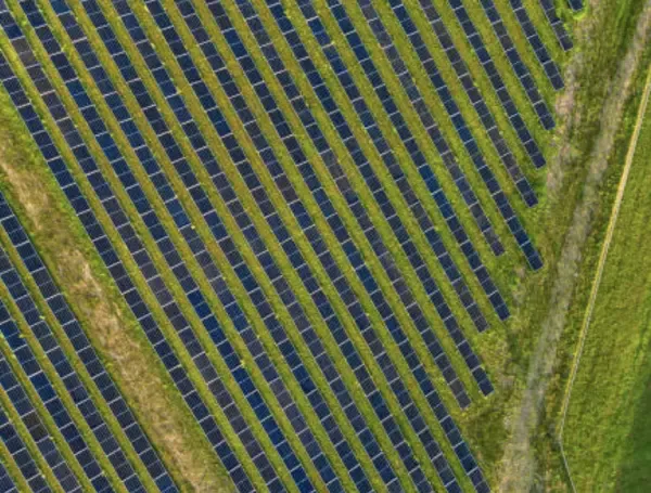 China concentró el 44 % de la inversión mundial en renovables.