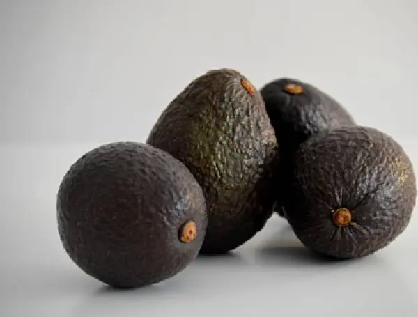 En volumen, los envíos crecieron 45,6% hasta 201.479 toneladas exportadas.