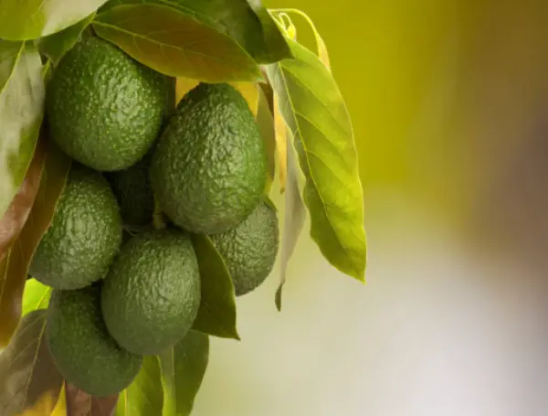 Antioquia concentró 47,3% del total con ventas por US$177,4 millones.