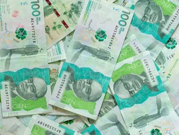 El recorte del Presupuesto deberá ser superior a los $30 billones según el Carf.