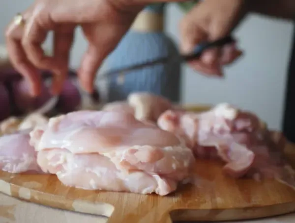 Pollo