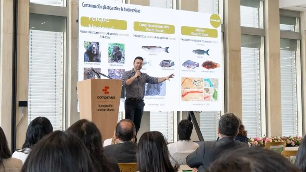 Más contenido: @Compensar_info 

Conozca a los ganadores del reconocimiento Empresas Sostenibles 2025.

Gestión de Residuos Industriales, Avícola Miluc y Bimbo de Colombia fueron las empresas reconocidas por Compensar.

Detalles. ⬇