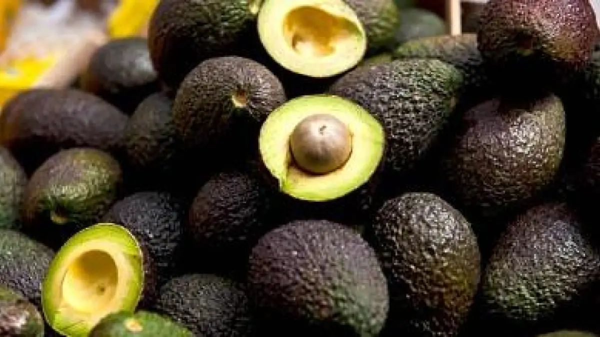 ‘Oro verde’: aguacate hass colombiano buscará expandirse hacia mercados premium como Japón, Corea y China en 2026