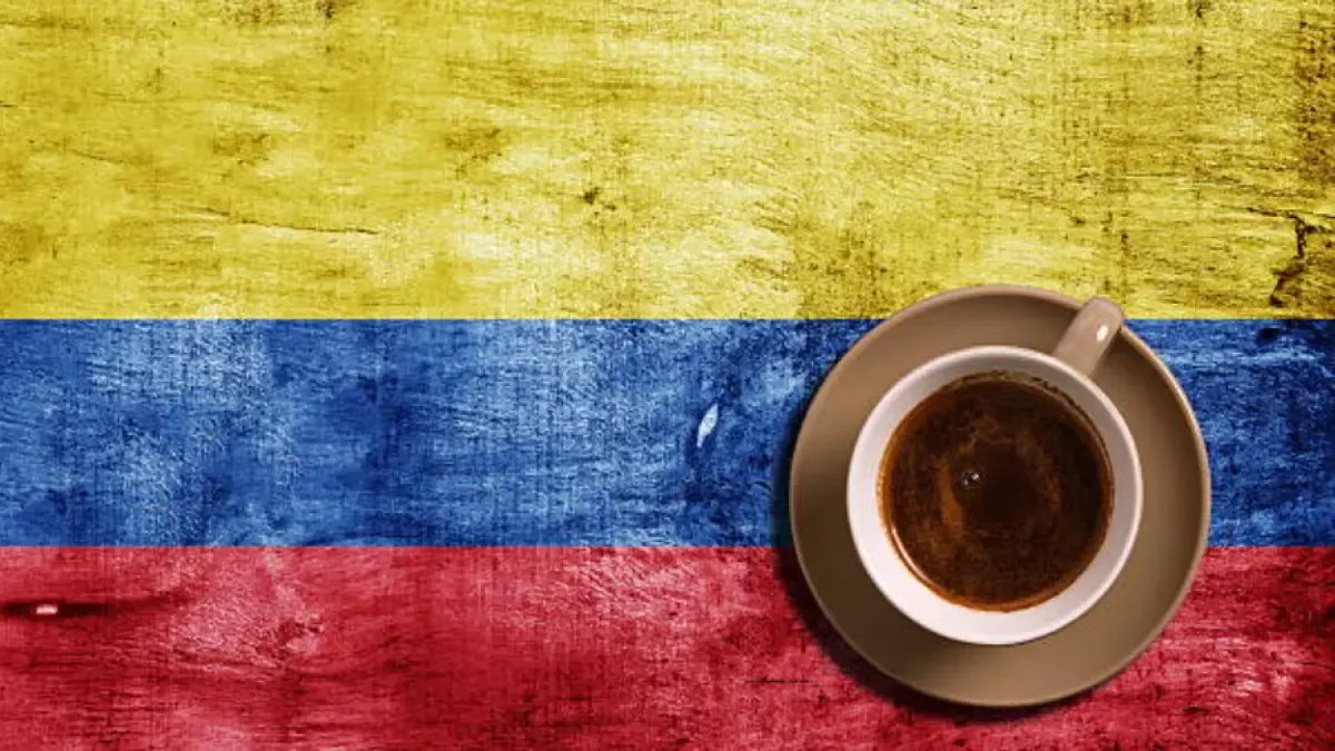 Producción de café en Colombia cerró 2025 con 13,67 millones de sacos y anticipa menor oferta en 2026