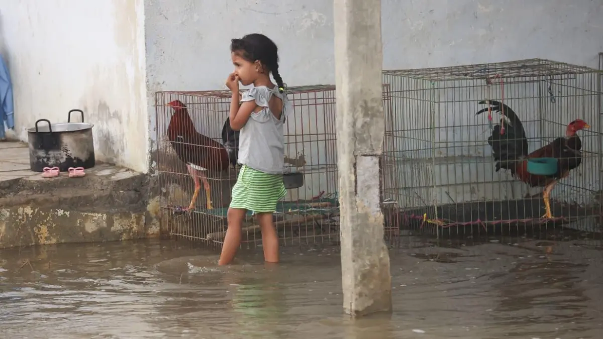 Cover image for Plan Abrigo, a ocho departamentos afectados por las inundaciones, va en el 20% de la meta de desembolso de créditos
