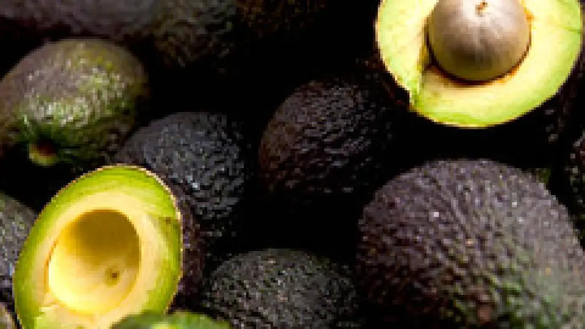 La española Migasa instala planta en Colombia para producir 