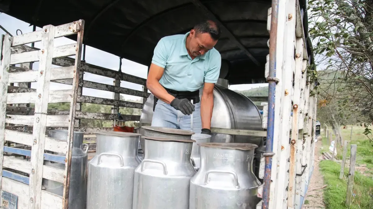 Miles de litros de leche, en riesgo por los bloqueos viales contra el alza del impuesto predial en Colombia

Los cierres impiden la recolección y elevan los costos de transporte, lo que tiene efectos directos en el precio.

Más información