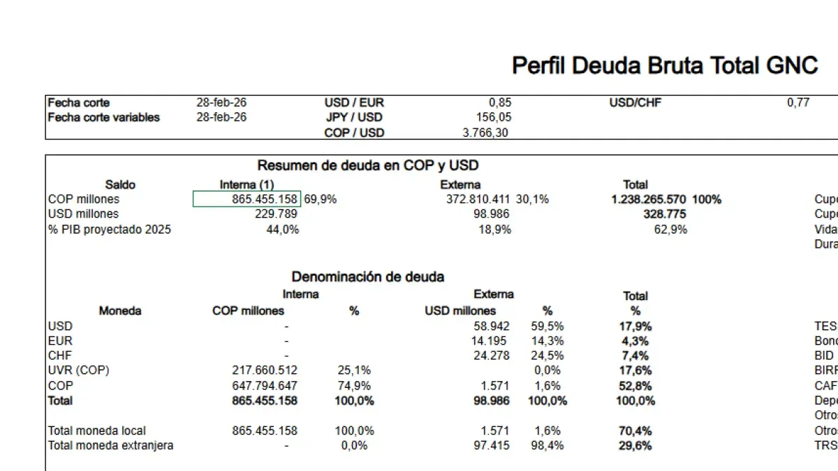 Government National Debt in Pesos Increased by Almost 20% in One Year