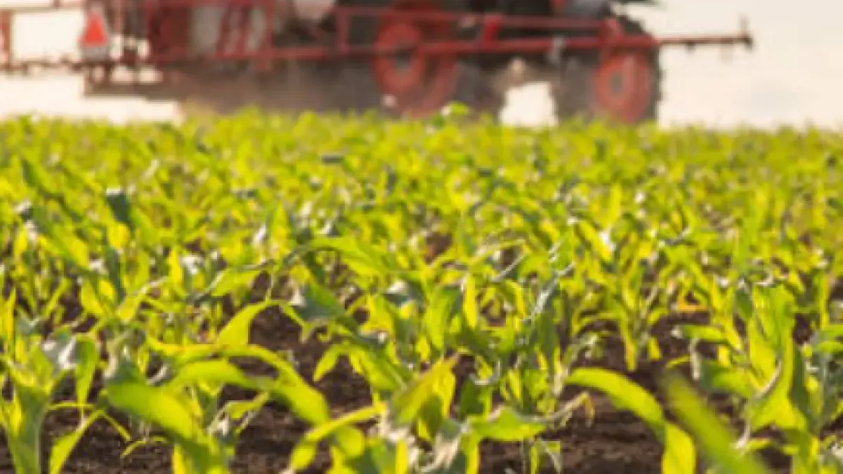 Radican ponencia que busca crear contrato agrario para formalizar el trabajo rural