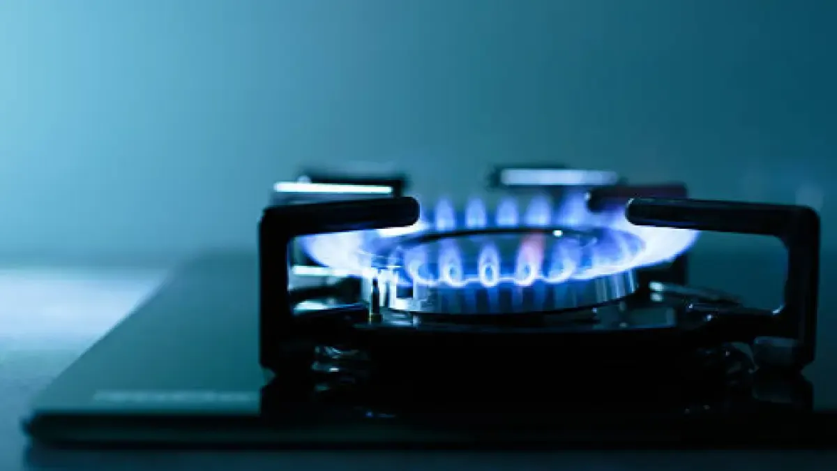 Gas para más de 12 millones de usuarios entra en revisión: Procuraduría (@PGN_COL) analiza riesgos y retos del servicio

Autoridades y gremio evaluaron desafíos del sector ante riesgos climáticos y la continuidad del servicio.

Detalles ⬇️