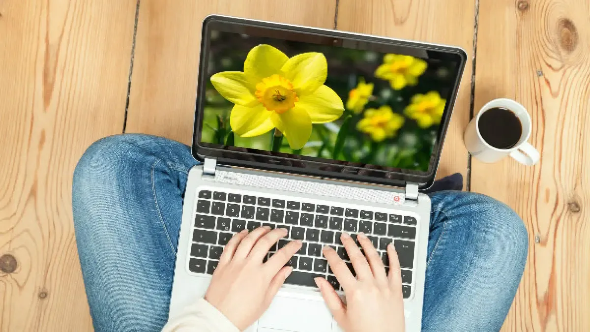 Mitos y verdades del uso del computador