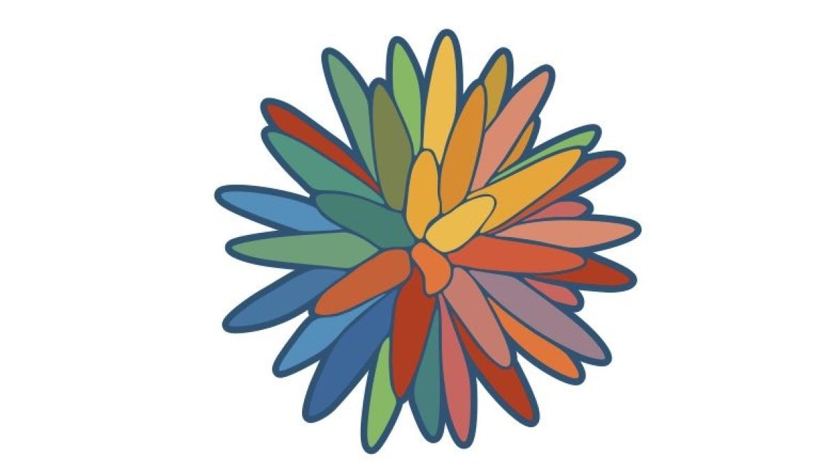 La flor de Inírida, símbolo de biodiversidad, representará a la COP16 ...
