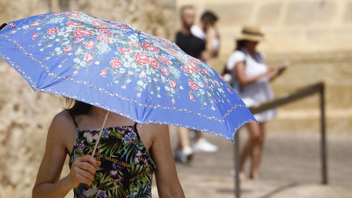 Europa registra más de 1.300 muertes adicionales atribuibles a la ola de calor, afirma la OMS