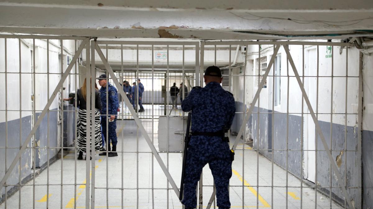 Caso Itagüí da un nuevo giro: Procuraduría declara nulidad, amplía implicados y ordena suspensiones

Tras errores en el proceso, el caso se reinicia con más implicados y medidas disciplinarias.

Conozca más