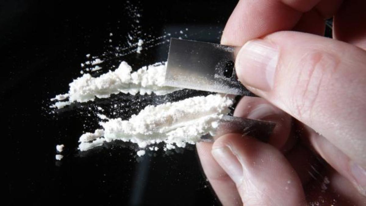 Policía ecuatoriana decomisa 380 bloques de presunta cocaína en provincia amazónica fronteriza con Colombia
