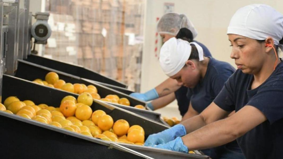 Although the unemployment rate decreases, the private salaried segment suffers a 7.3% drop in January 2026