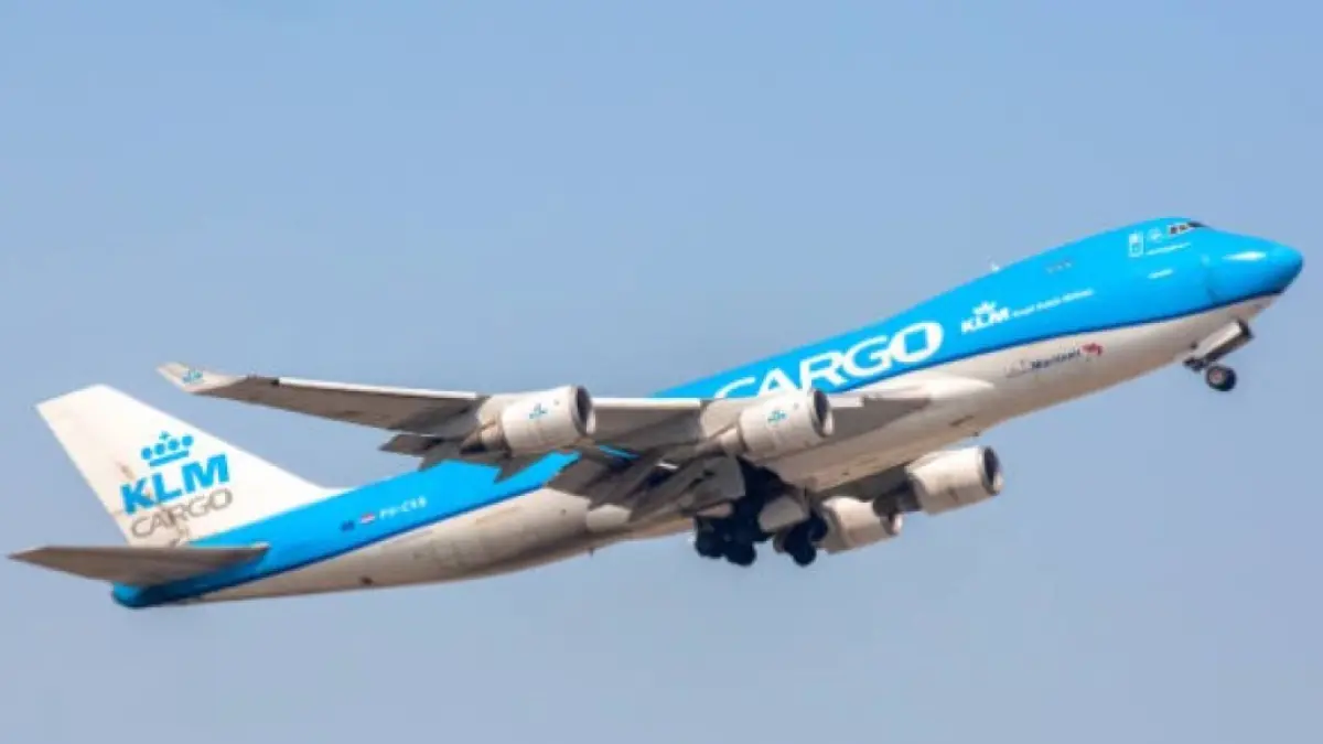 Airline stocks plummet in stock markets