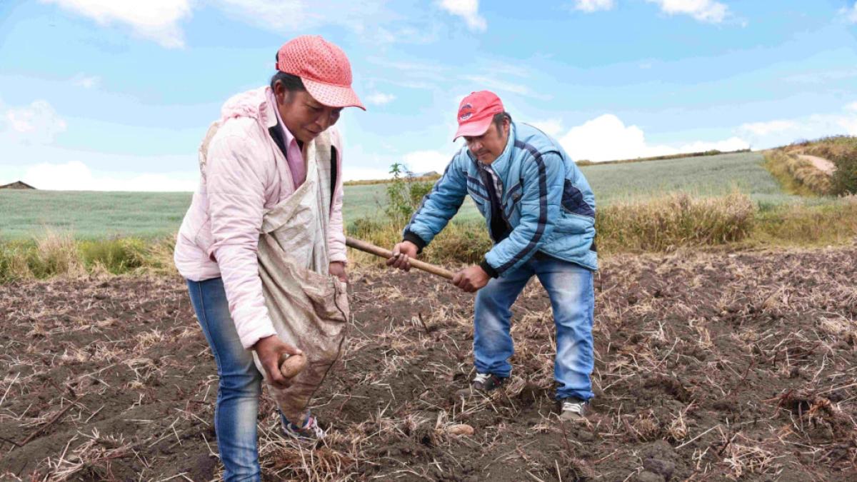 Colombia prepara nuevo Censo Agropecuario para actualizar las cifras del campo después de 12 años