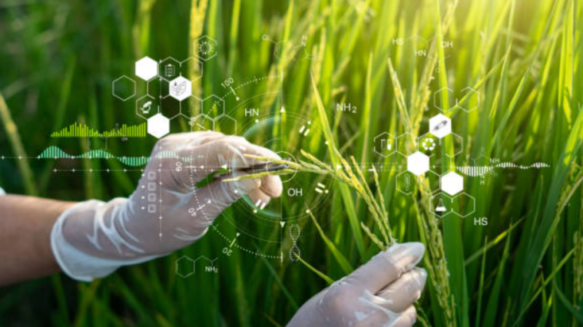 ¿En qué se enfoca el sector de 'agrifoodtech'y por qué Colombia tiene tanto potencial?