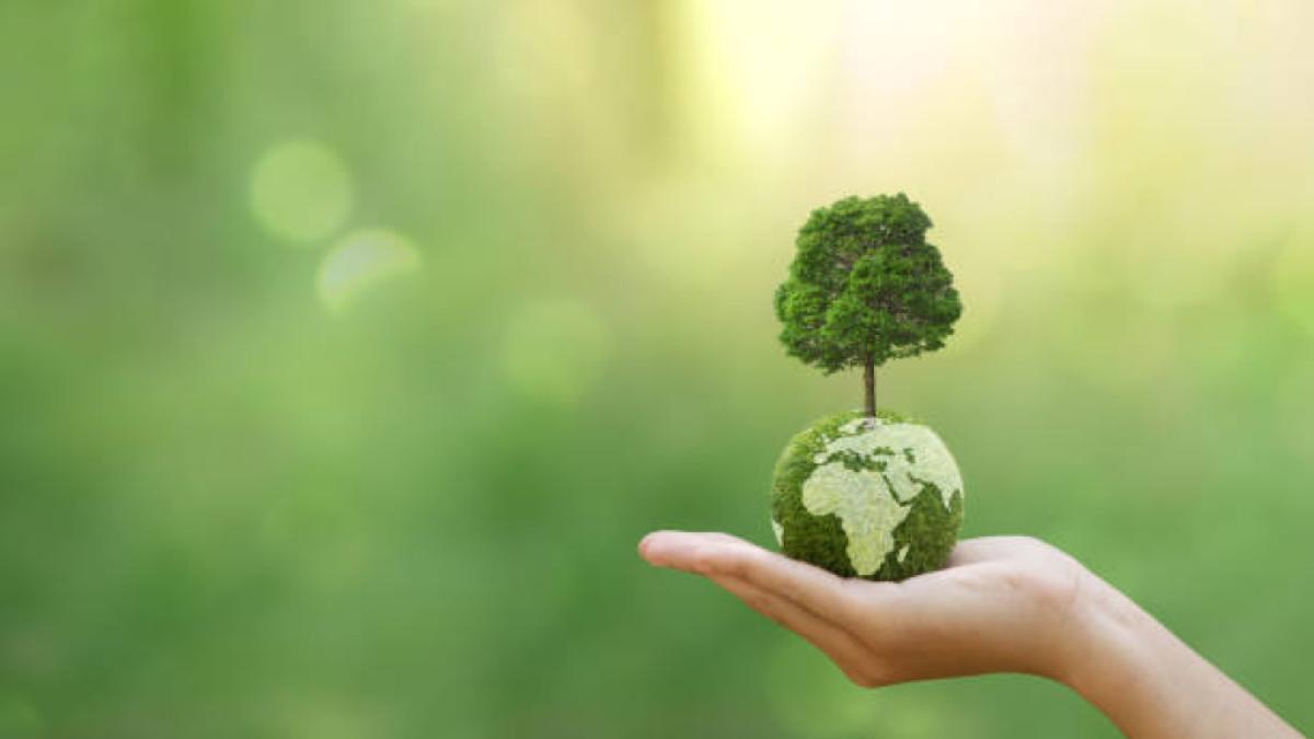 Colombia invierte apenas 0,21% del PIB en ciencia y tecnología, muy lejos del 2,71% de la OCDE.

El resultado: menos innovación, menor crecimiento y talento desaprovechado. El reto ya no es diagnóstico, es ejecución.

Lea más información aquí