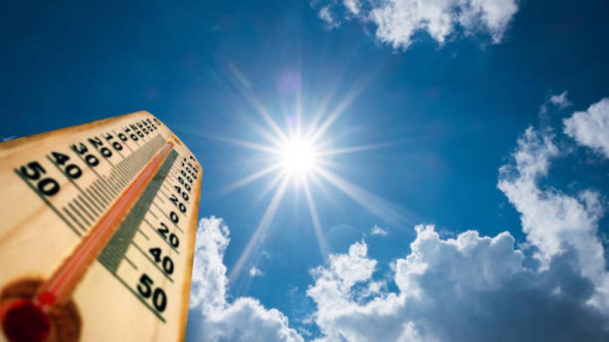‘No hay planeta B’: jóvenes lideran la rebelión climática