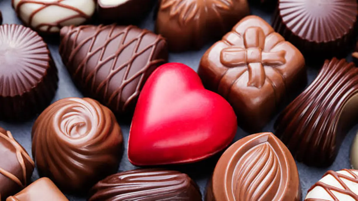 Lab-grown chocolate: A development aiming to prevent the sweet treat from disappearing due to global warming
