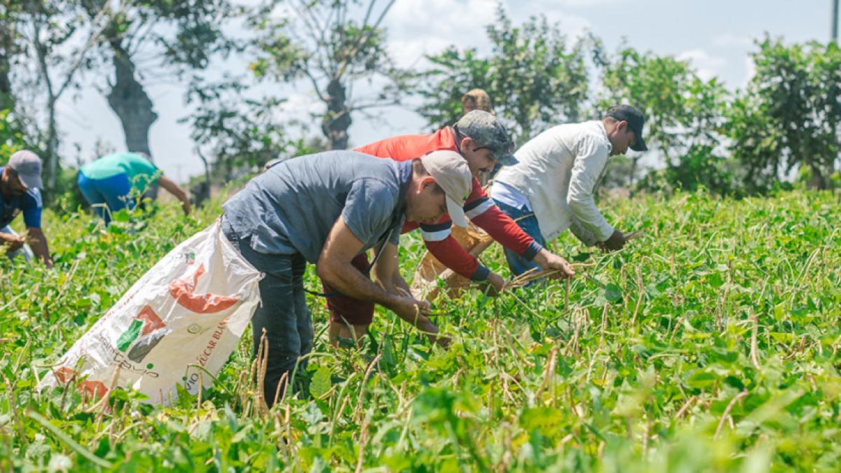 Con inversión de $8.541 millones, Gobierno reactiva fondo de