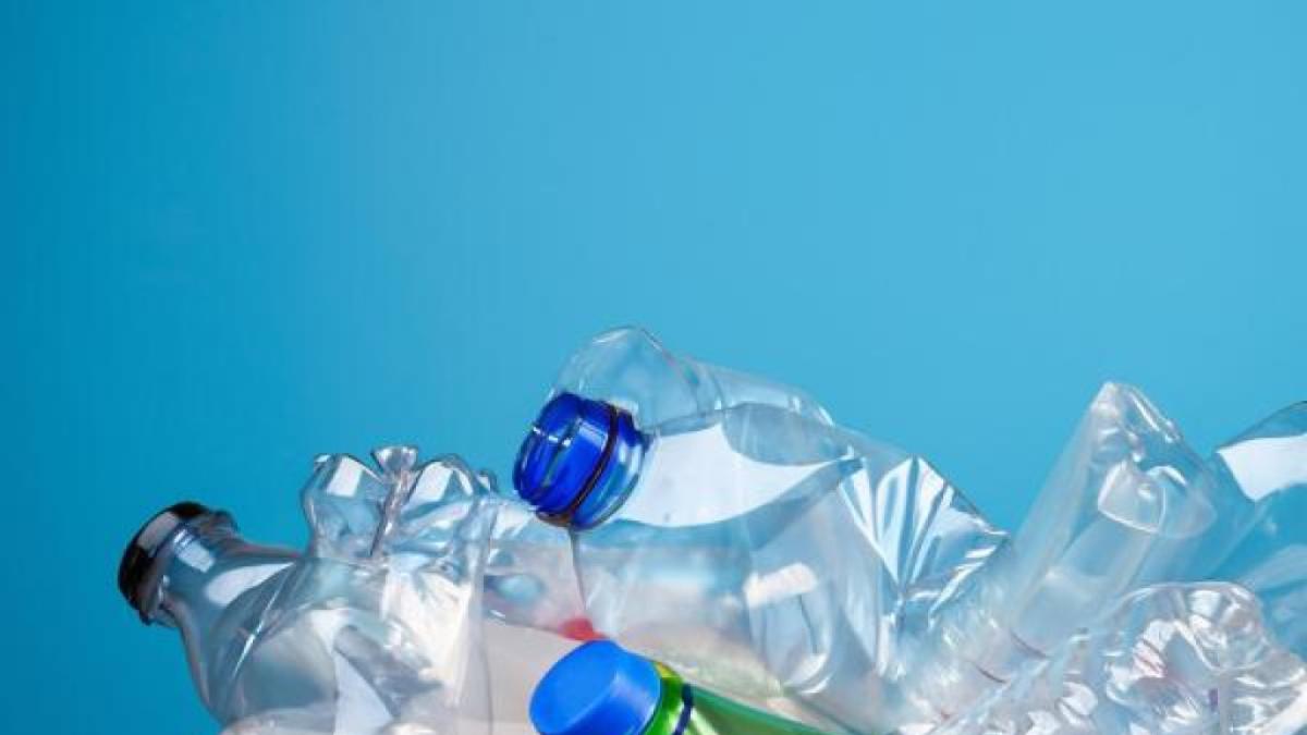 Goodbye to single-use plastics: Sagu-based packaging, a new alternative
