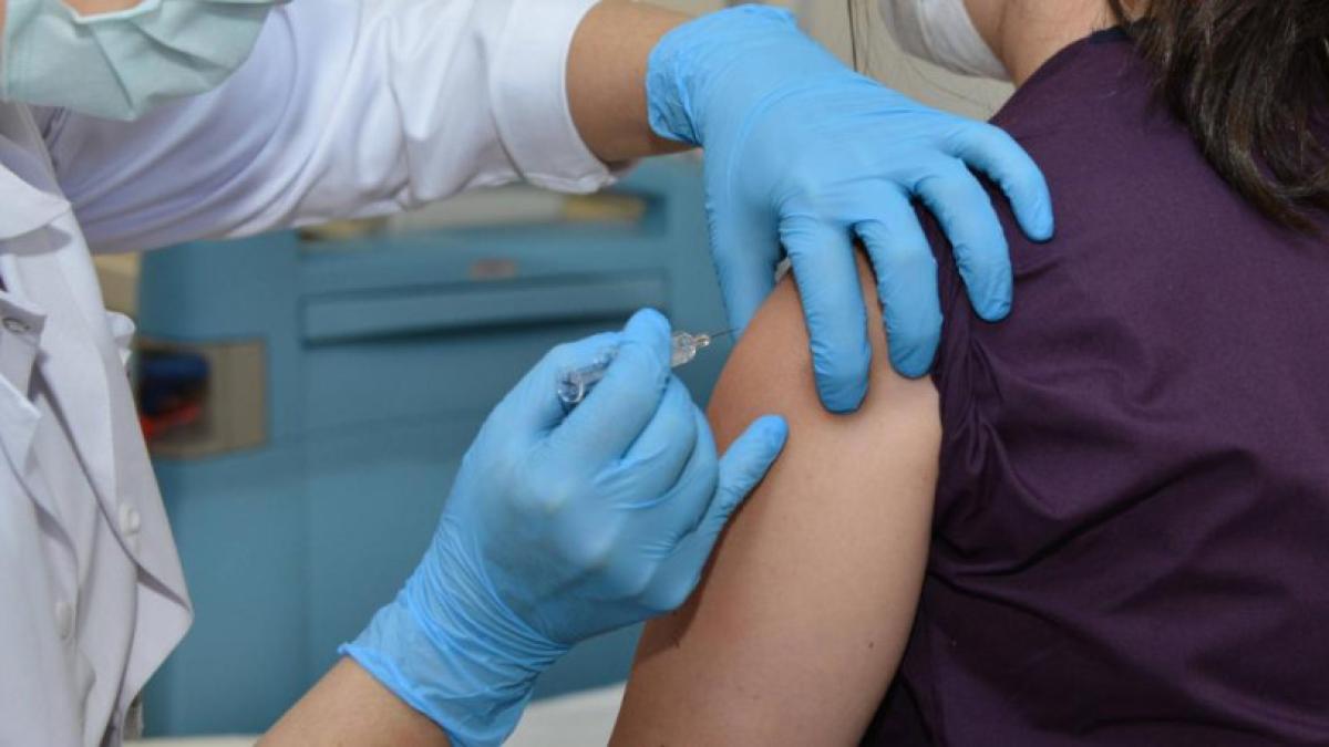 Yellow fever in Colombia: 81 people have died since the start of the outbreak, according to Minsalud