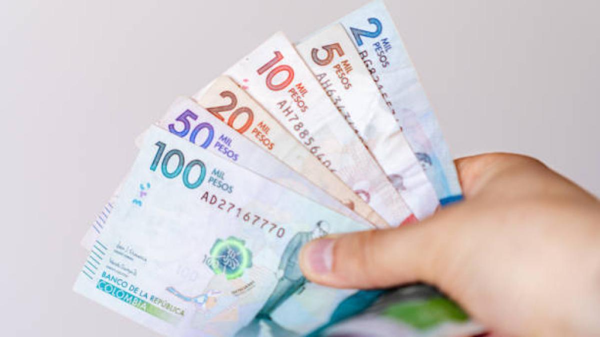 Superfinanciera (@SFCsupervisor) propone a la banca girar a un modelo de precios socioambientales para sus inversiones

La entidad propuso un modelo que incorpora variables como carbono, empleo, divisas y sostenibilidad ambiental.

Detalles ⬇️