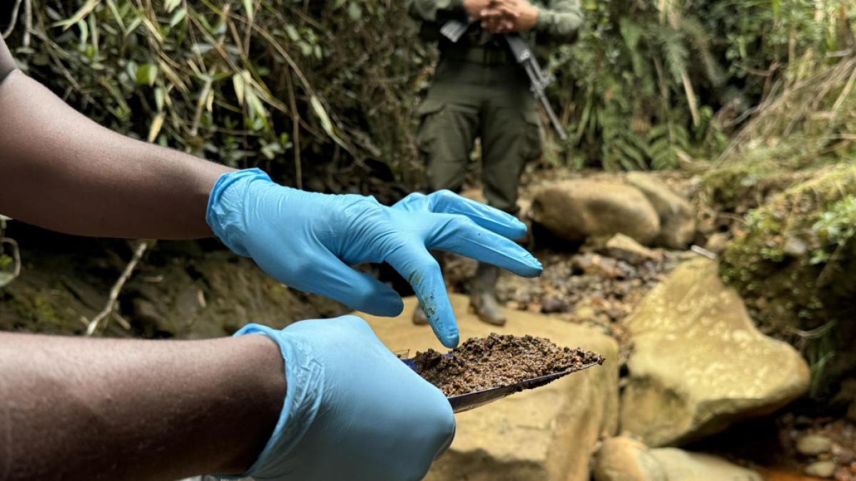 Impactos que la minería ilegal está teniendo en Colombia y otros países ...
