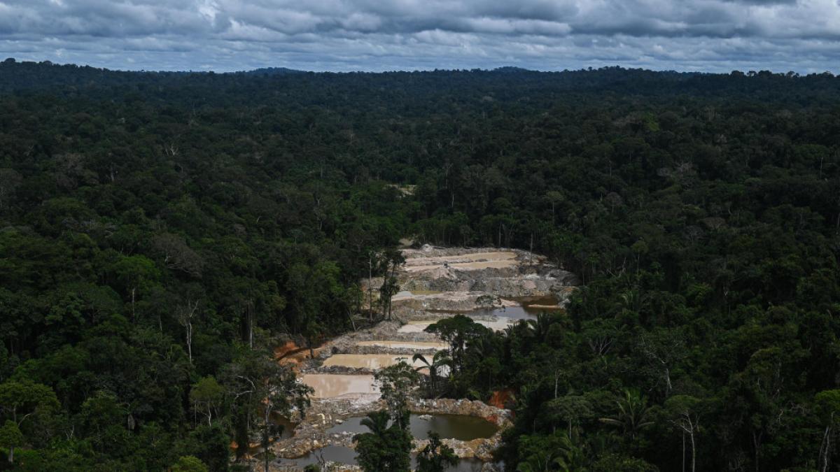Minería ilegal de oro en Amazonía ha usado 200 toneladas de mercurio ...