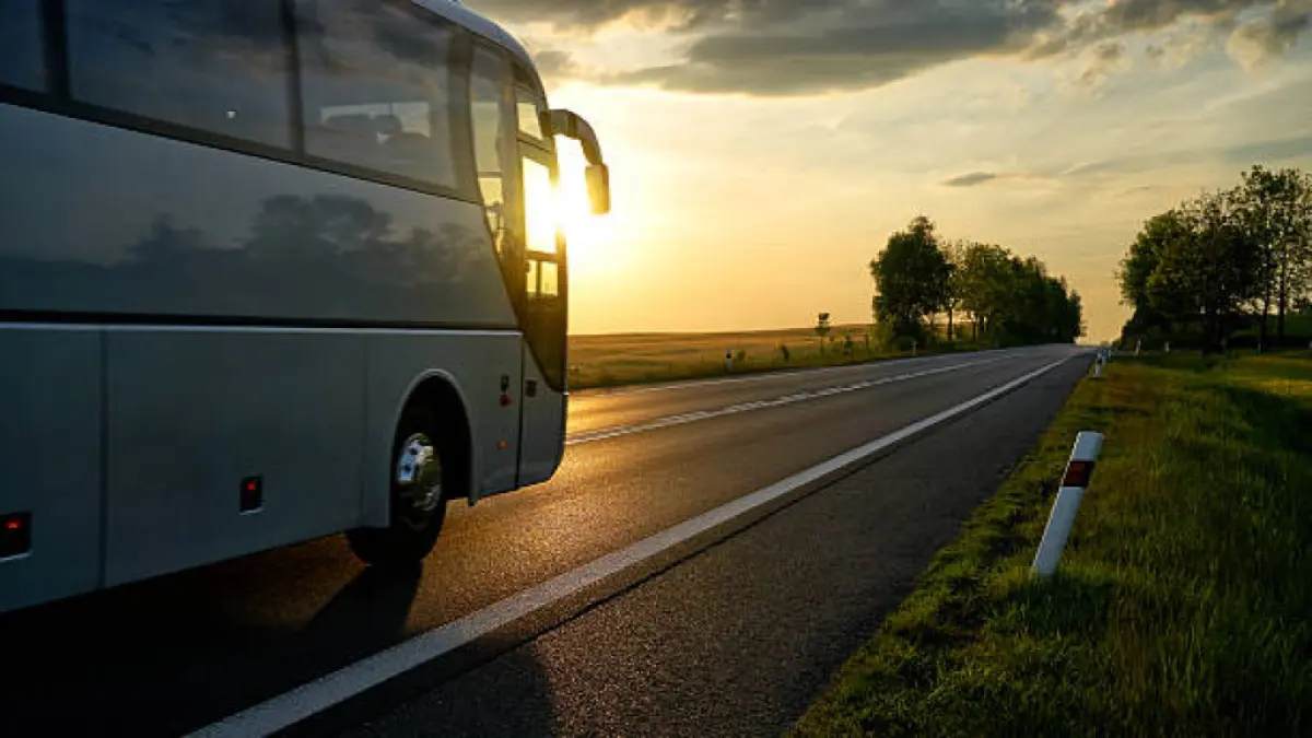 Air transport does not unseat intercity buses: how Colombians will travel during Holy Week