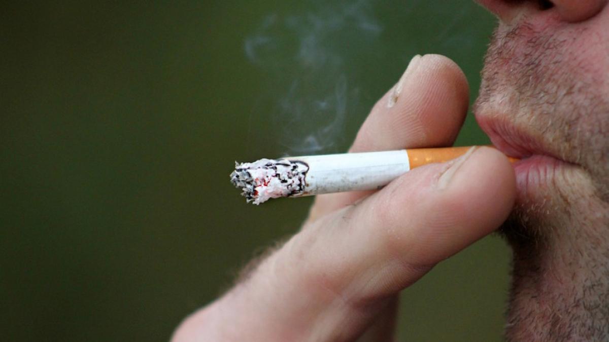 #PortafolioRecomienda Mayores impuestos dispararía consumo de cigarrillo de contrabando: pérdidas superarían el billón de pesos

Actualmente, en el país se comercializan cerca de 350.000 cigarrillos que entran por contrabando.

Siga leyendo