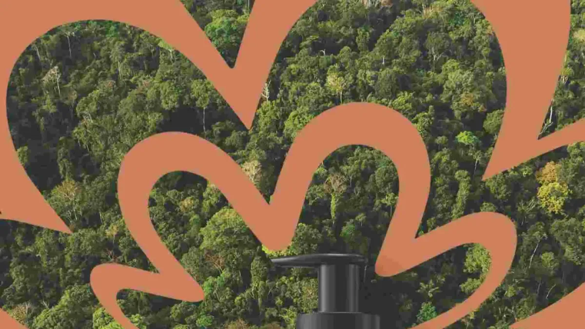 Chile se consolida como laboratorio de la marca de productos de belleza Natura para la expansión de tiendas físicas