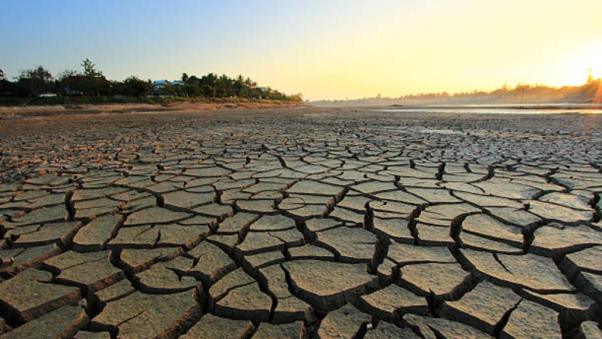 El fenómeno de El Niño será el primer gran examen que enfrentará el próximo presidente de Colombia

La temporada de sequía presionaría las tarifas residenciales de servicios públicos y la inflación (según @corficolombiana). 

Detalles ⬇️