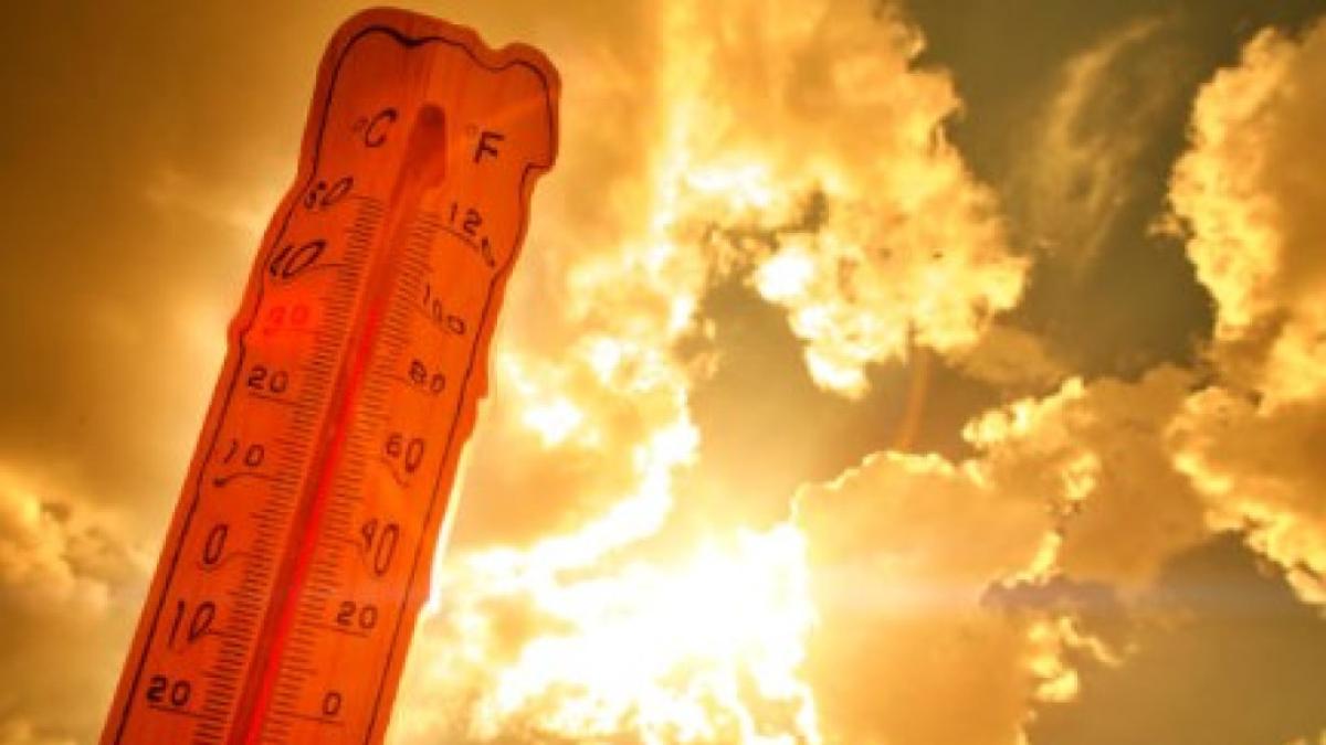 El calor global rompe récords: el promedio ya supera el umbral de 1,5 °C