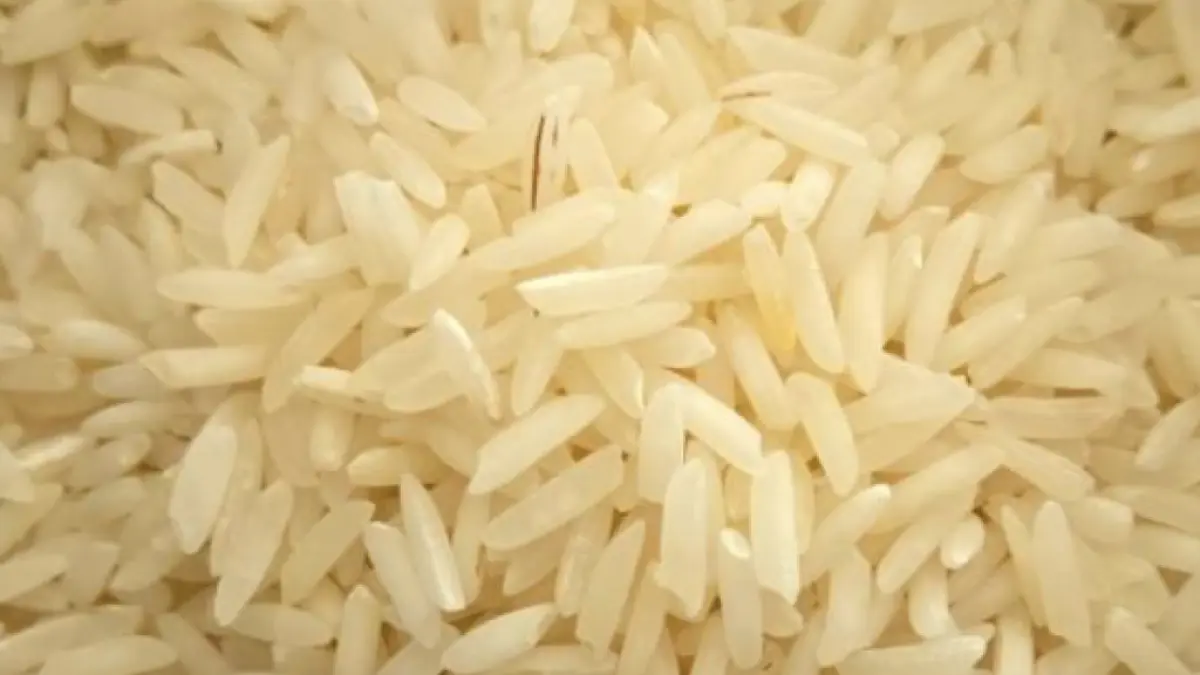 Menos lluvias y más calor: Fedearroz advierte riesgos para el cultivo de arroz por el fenómeno de El Niño