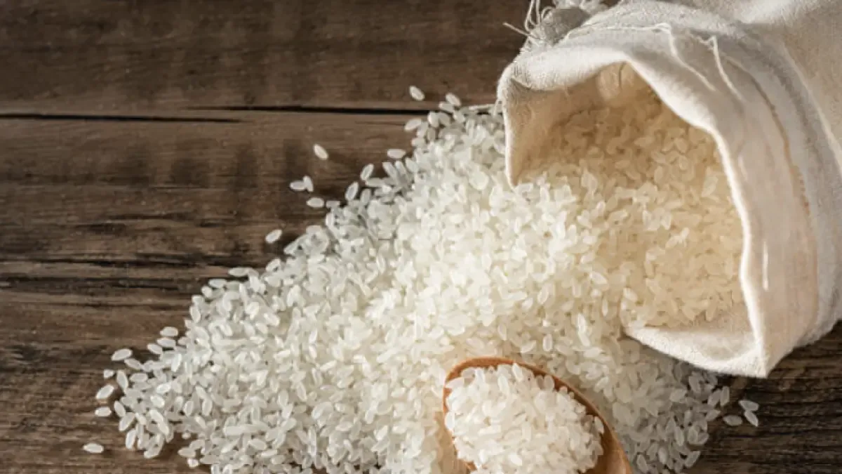 Arroceros pide al Gobierno medidas urgentes para frenar impacto de importaciones de arroz desde Ecuador
