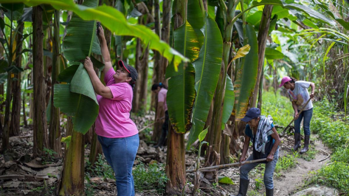 Fundación WWB Colombia propone productos financieros con enfoque de género