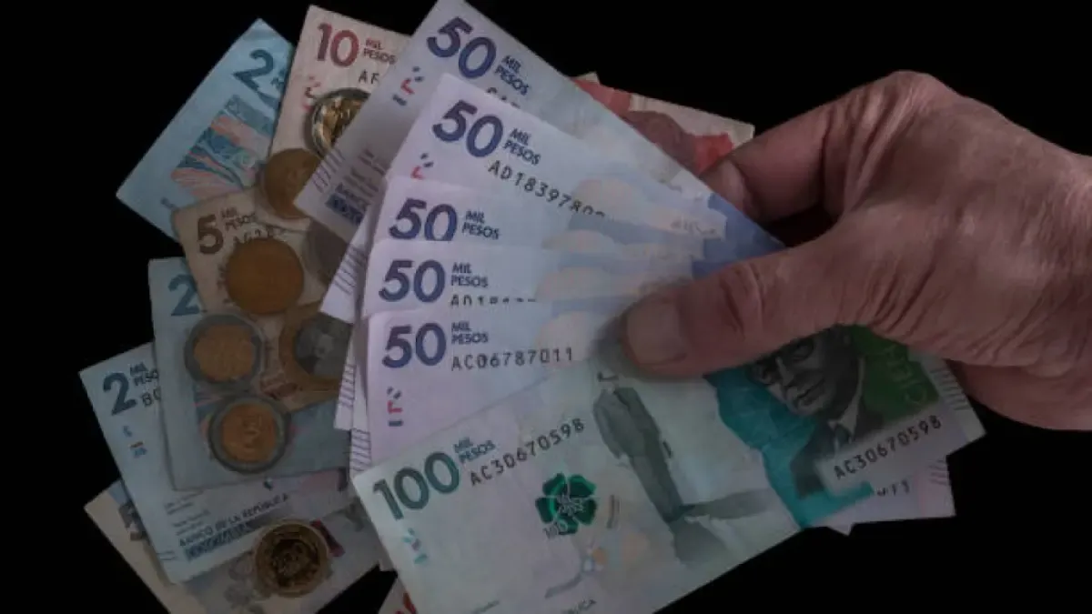 ‘Abejas trabajadoras’: esta es la fórmula y los cálculos con los que el Gobierno definió el salario mínimo vital