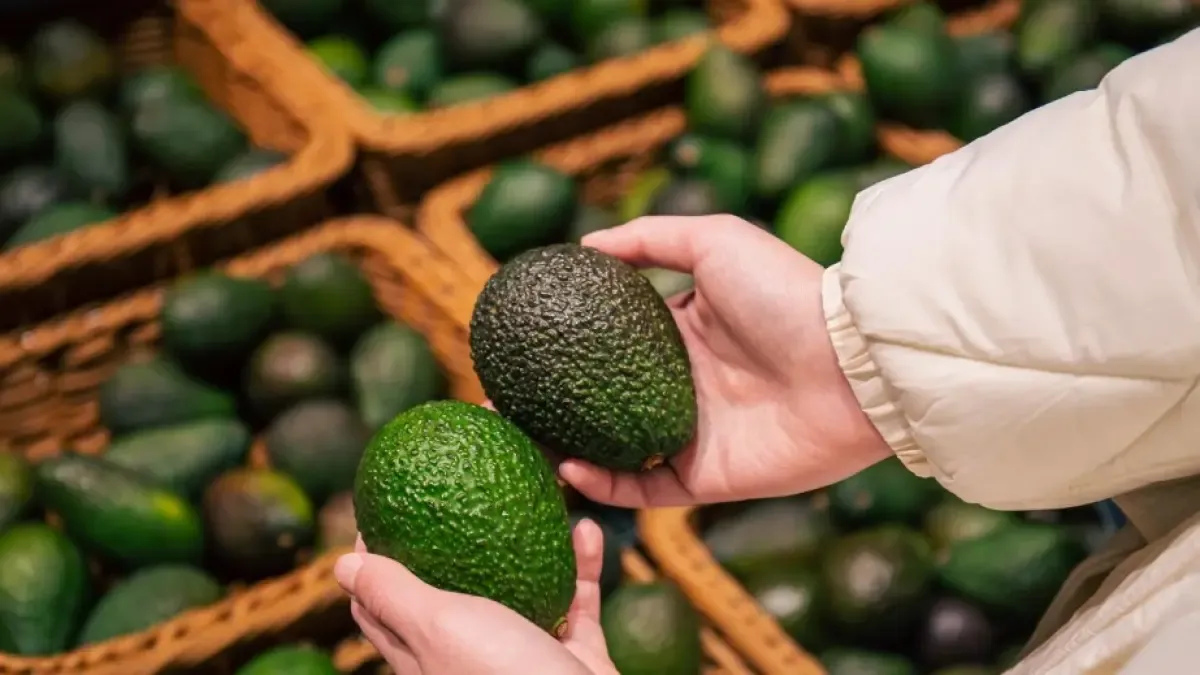 Aguacate hass es la tercera fruta más exportada de Colombia: estos son los mercados donde más la apetecen. ?

En septiembre las exportaciones de aguacate hass alcanzaron 14.611 toneladas.

Detalles. ⬇