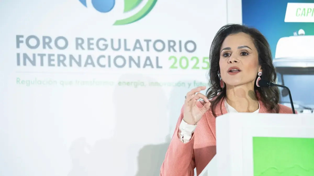 We are seeing a silent setback in the country's energy transition: Naturgas on the gas situation