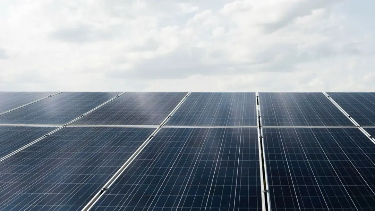 Autoridad Nacional de Licencias Ambientales dio luz verde al Parque Solar Ariguaní