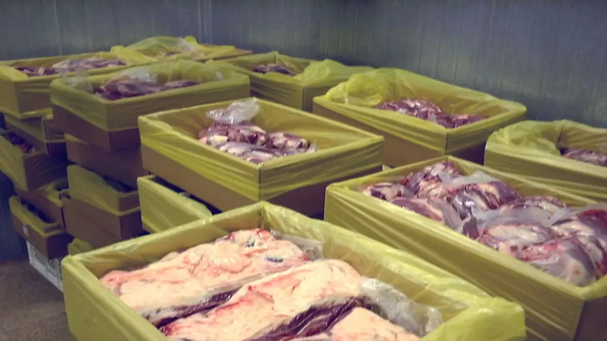 Government considers suspending meat exports due to climate emergency: ‘There may be an increase in hunger’